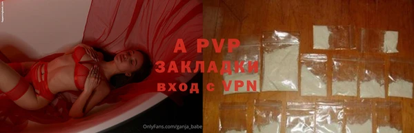 мяу мяу кристалл Чита