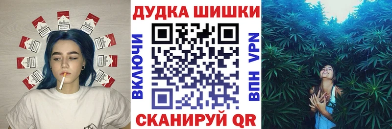 Шишки марихуана Amnesia  Сокол 